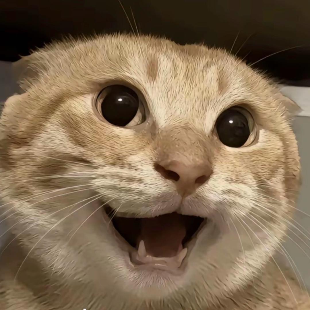 悄悄摸鱼