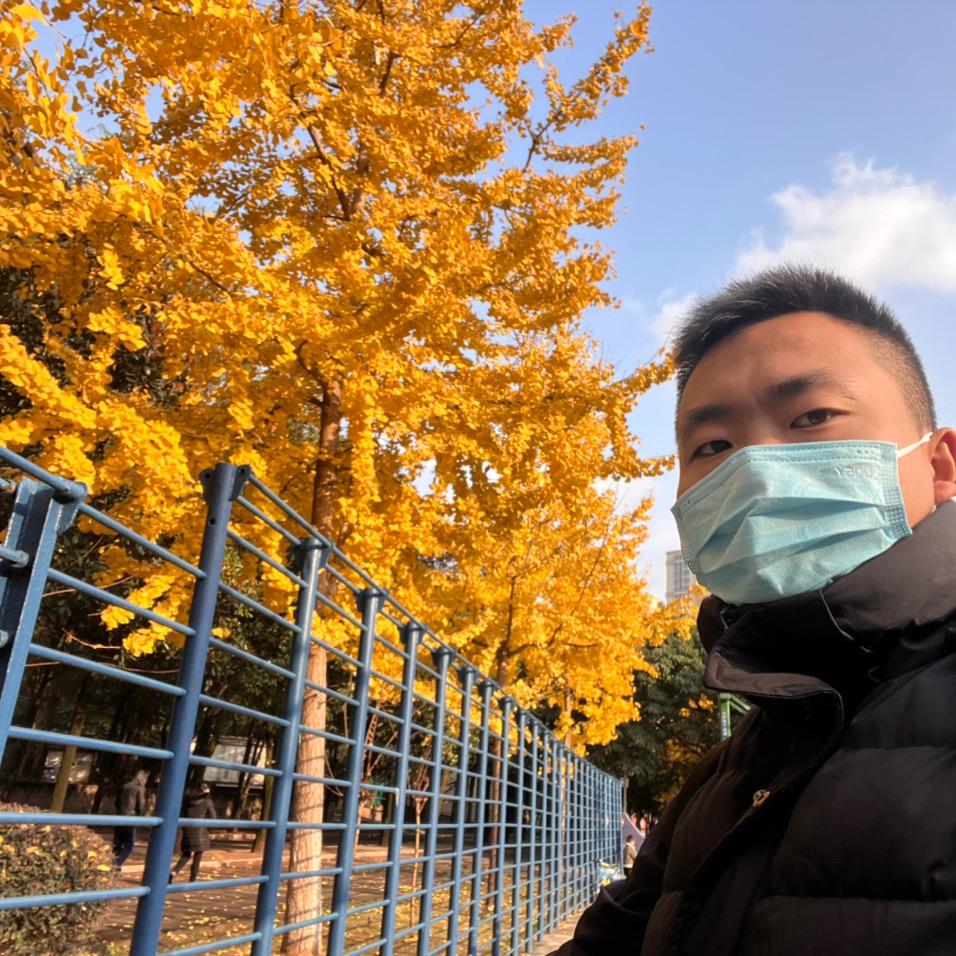努力的小黄