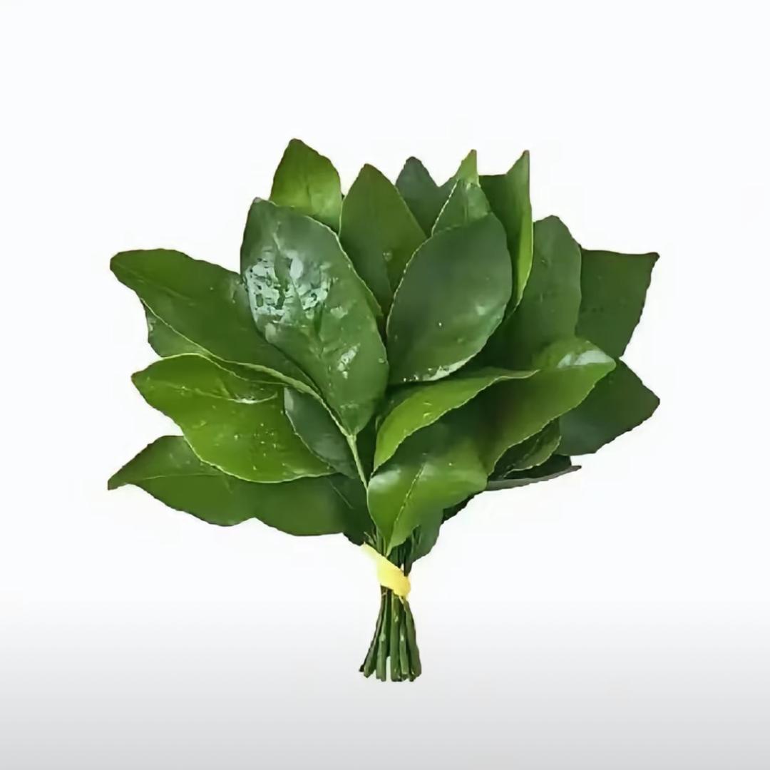 S.
