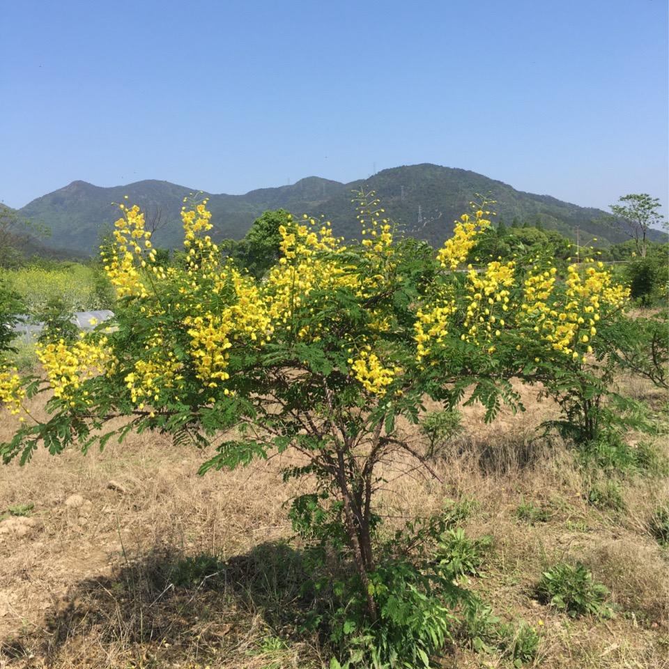 留不住的是岁月