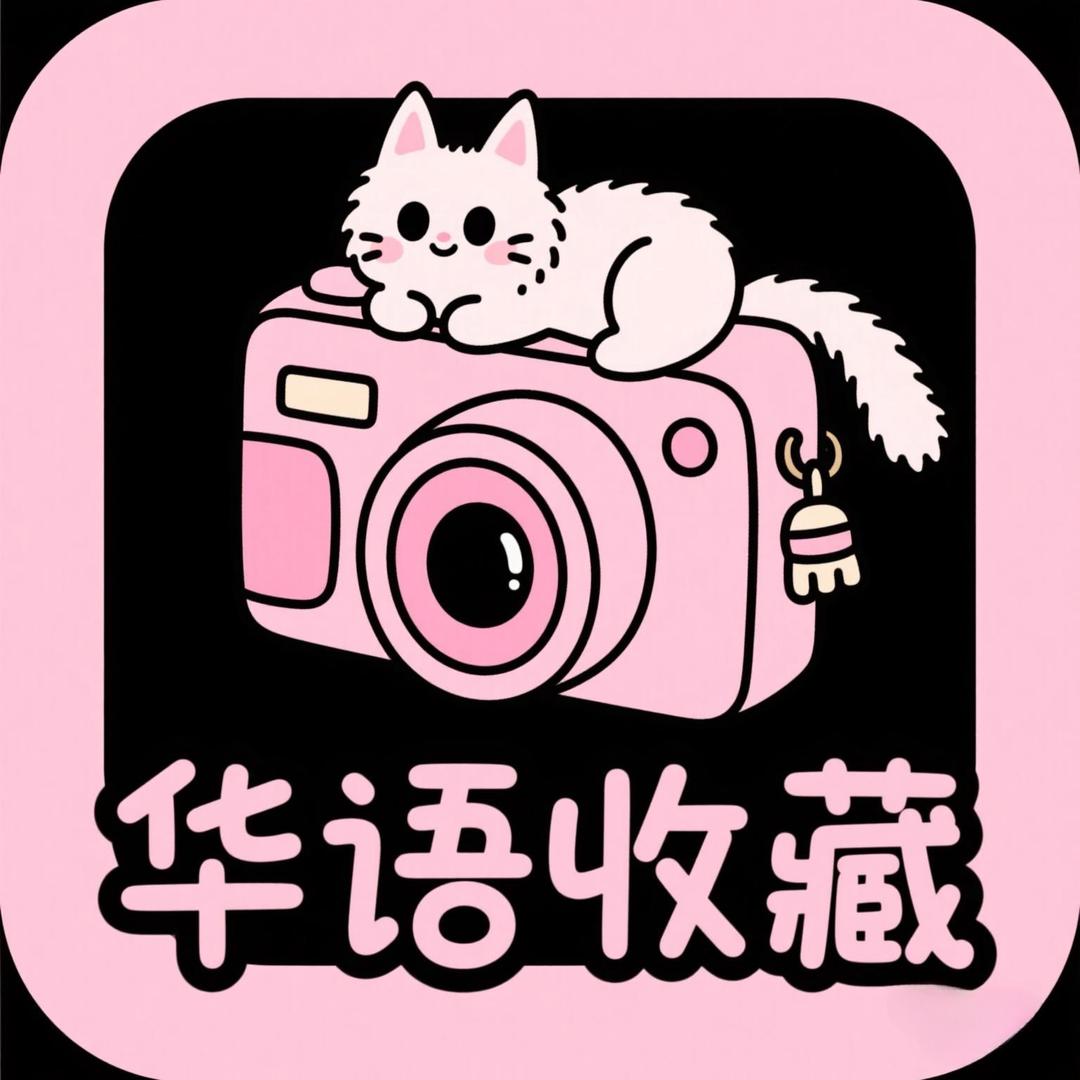 华语收藏品(ccd相机)