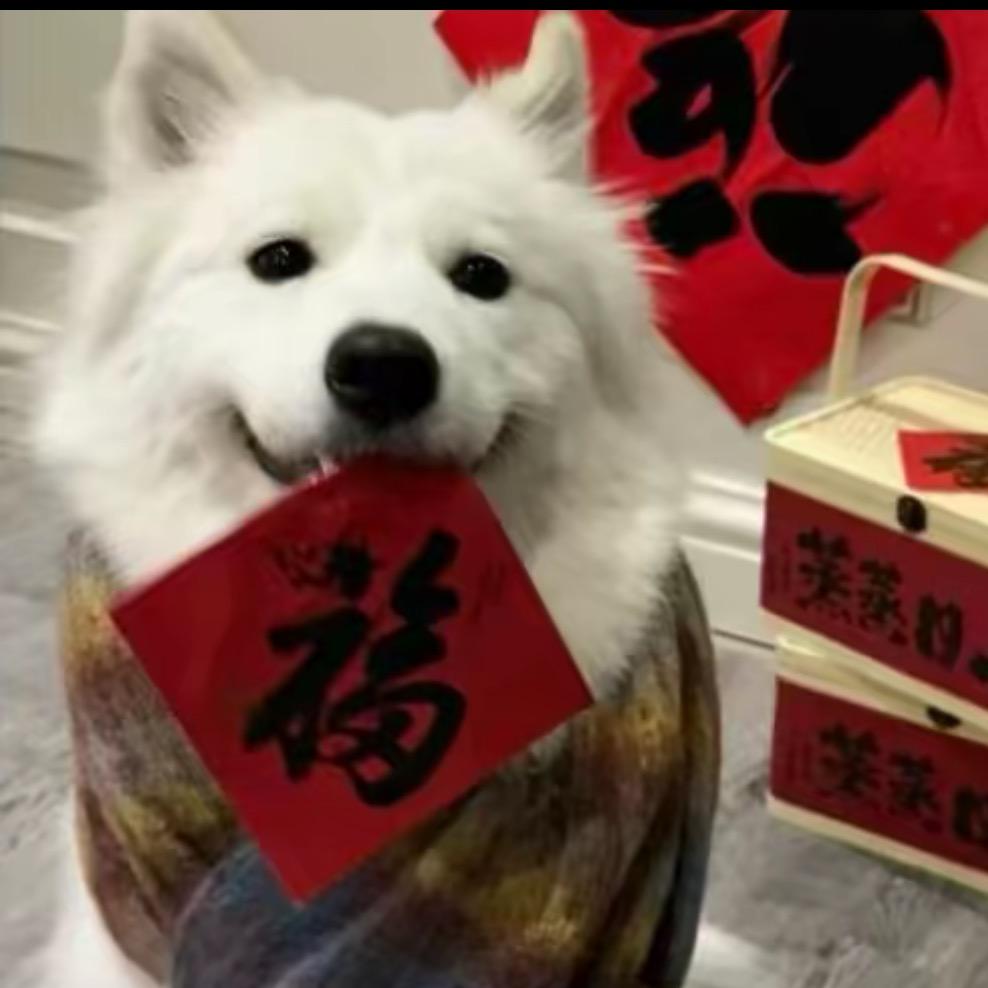 张晏斌最帅