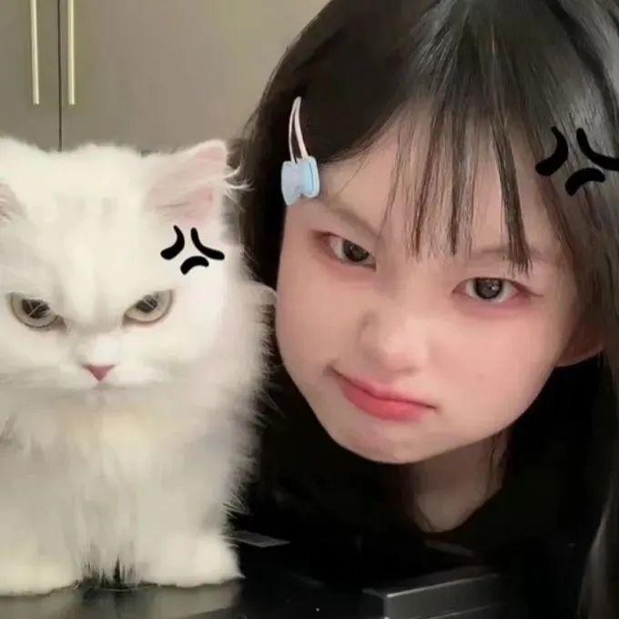 呼噜猪.