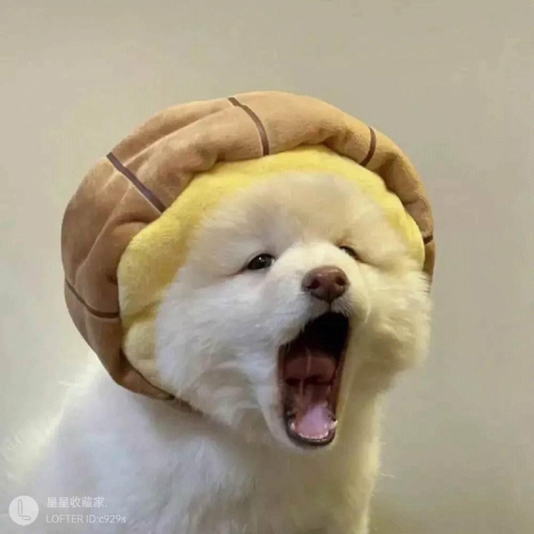 秦枫