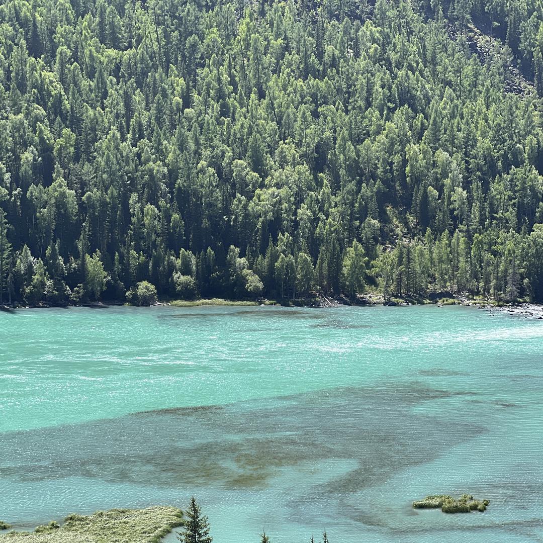 浪莱清洁用品旗舰店西辰彩