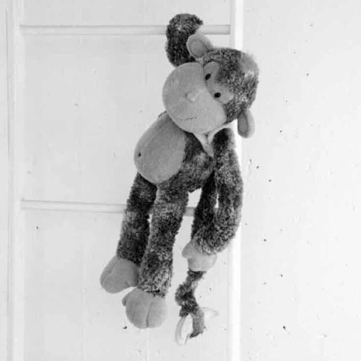 崇左欧抱抱服装萍儿