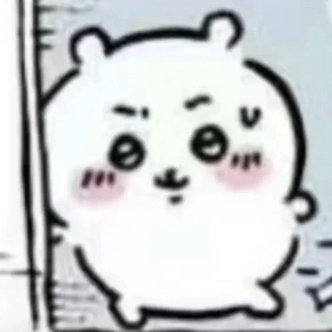 pailink 优优