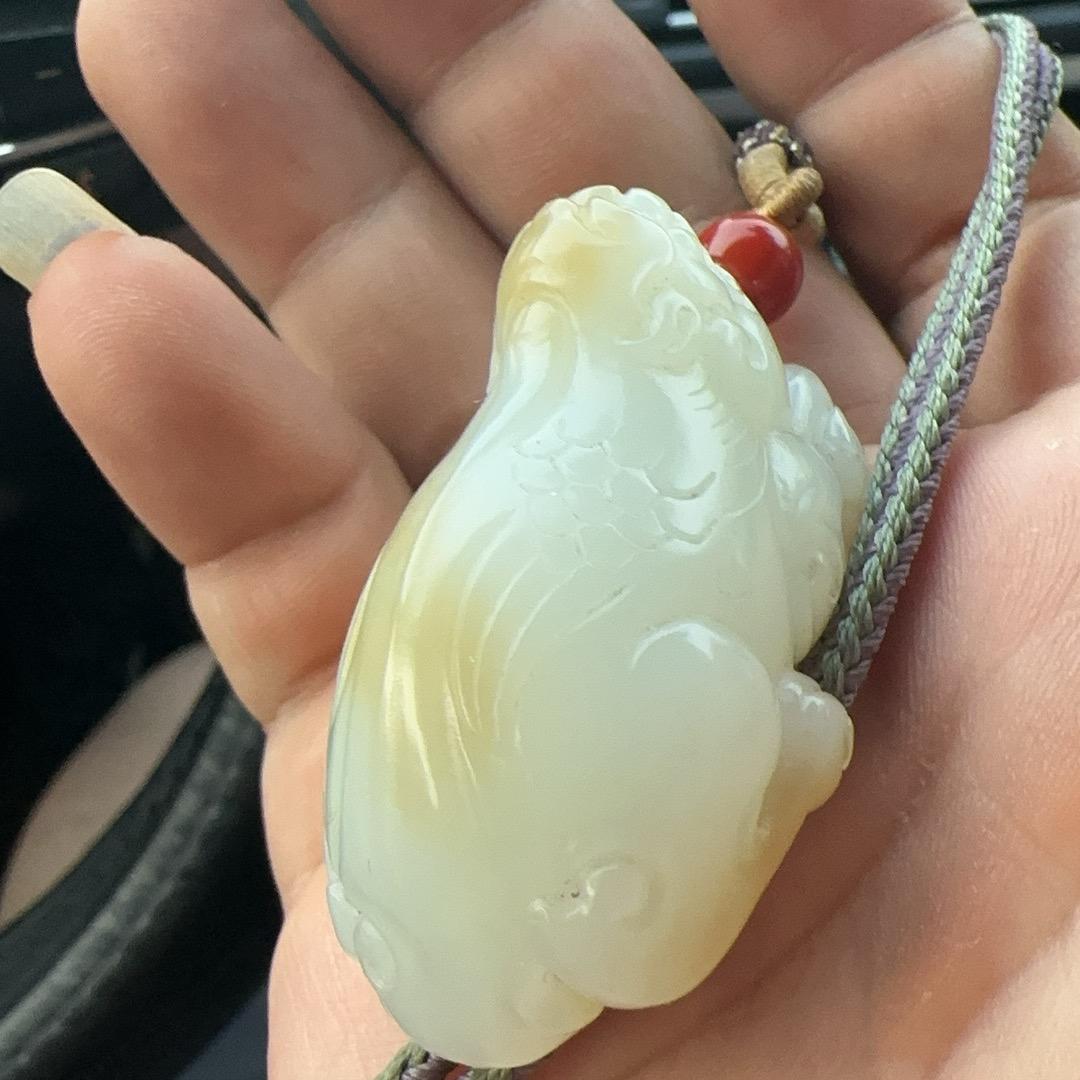 风华正茂