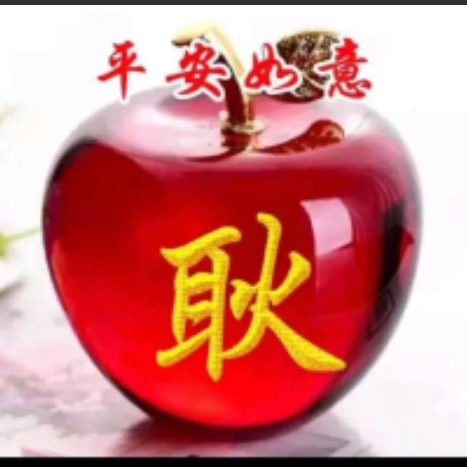 🌺耿姐🌺