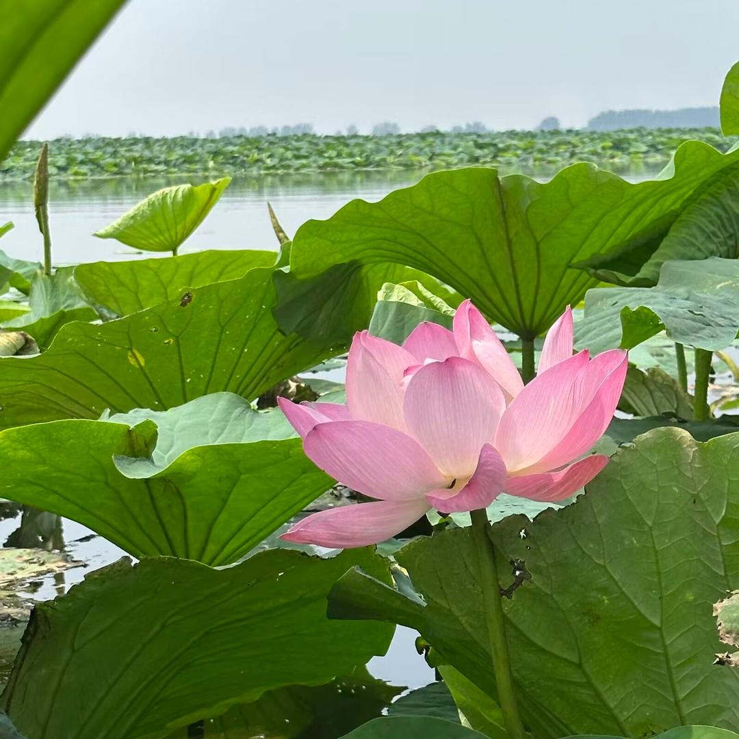 静静🍀