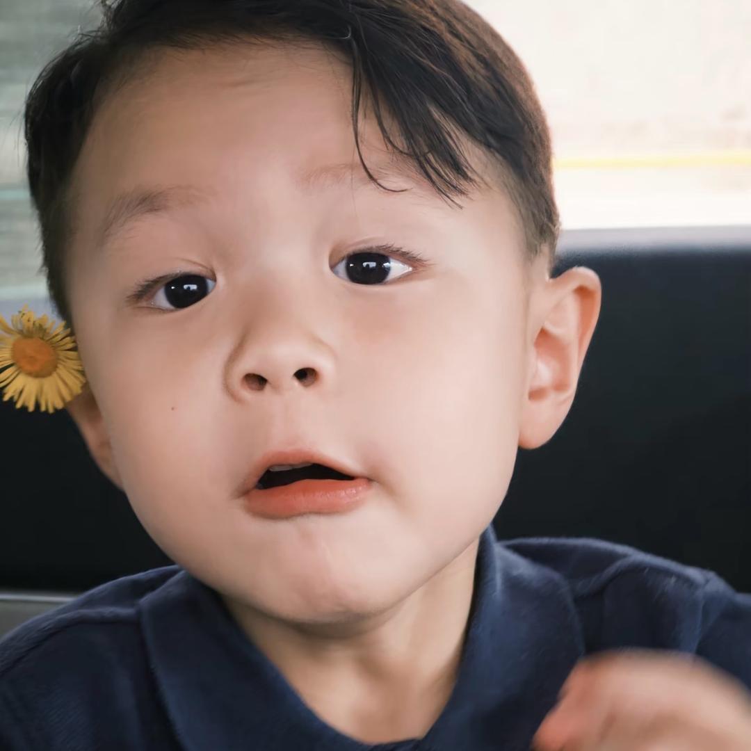 高举社会主义旗帜🇨🇳
