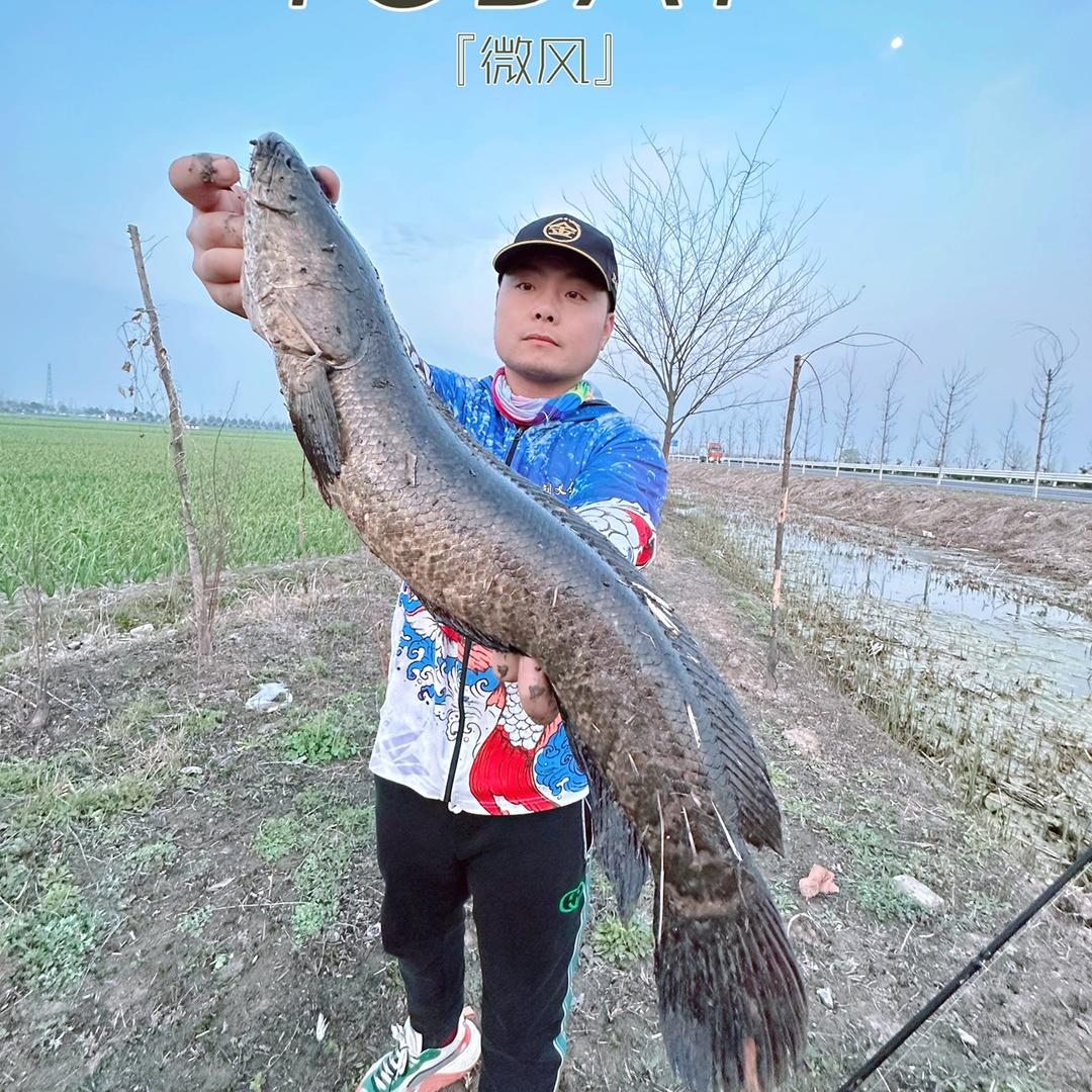 黄河钓手：刘少！
