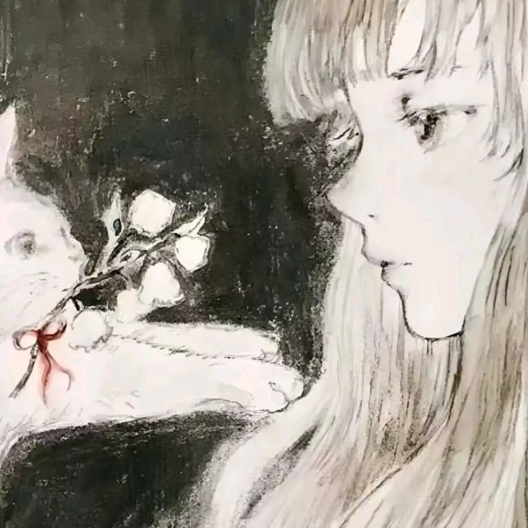 泰格西宝宝的英雄