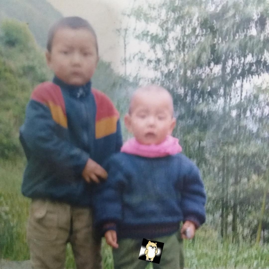 一个想吃胖的瘦子