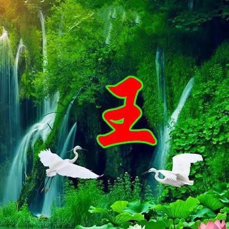 上善若水。