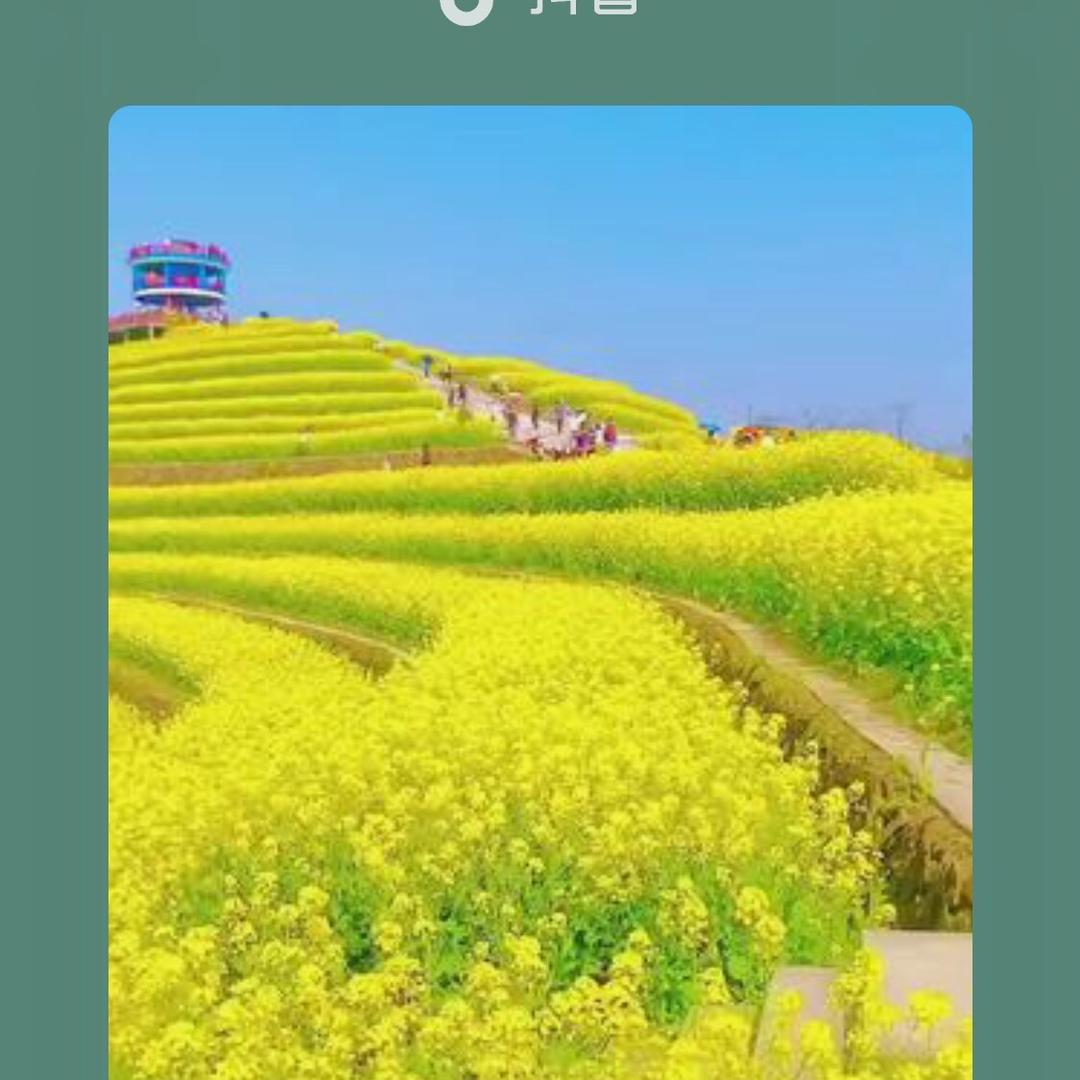 南海乐仙