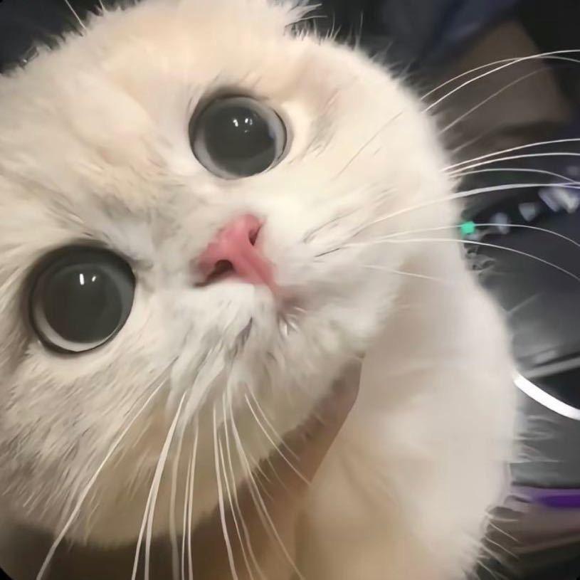 画圆的圈儿.