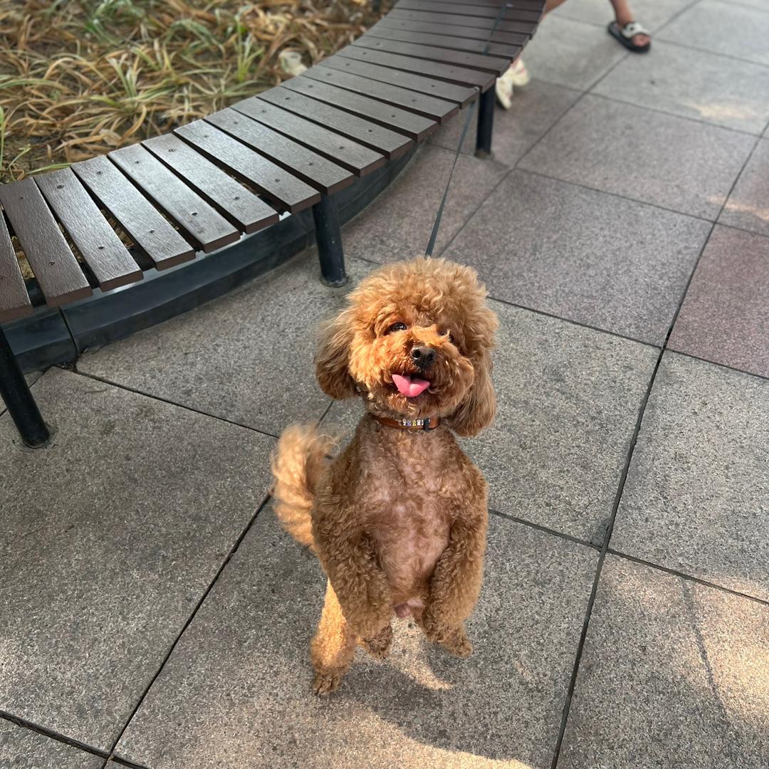 9️⃣0️⃣后阿姨