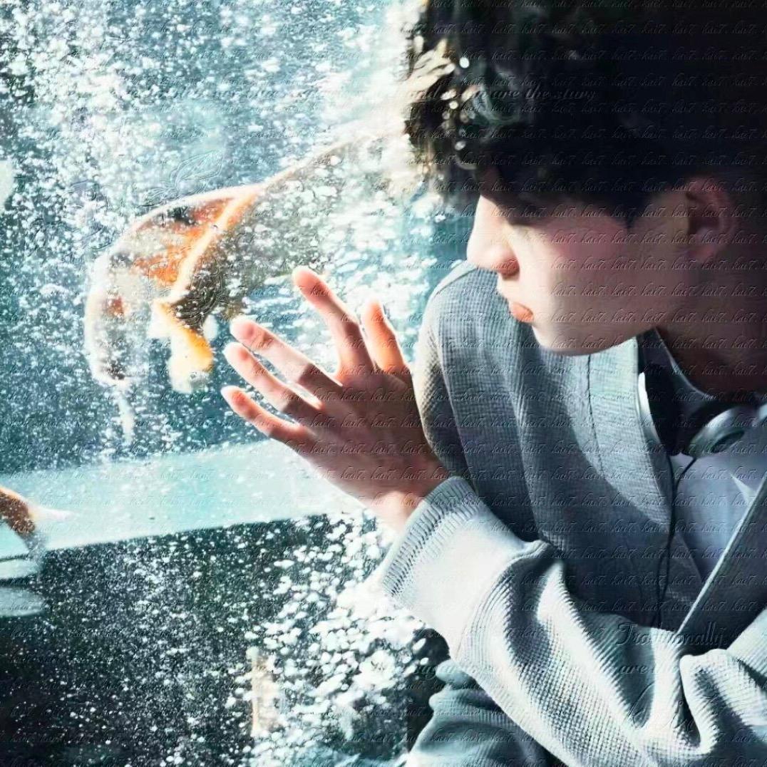 ㅤ   ㅤㅤ   ㅤ     ㅤ