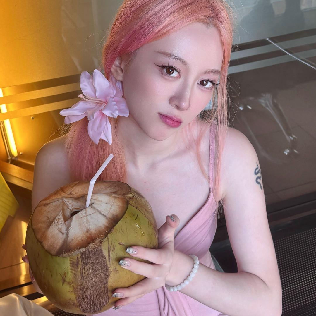 杂食柯柯