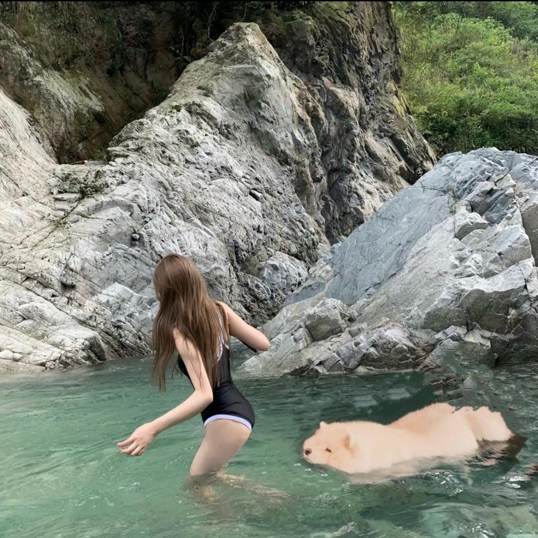 元宝吃不饱
