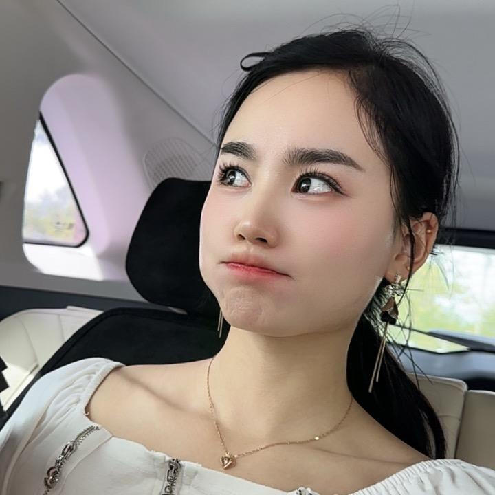 阿翟拾月记