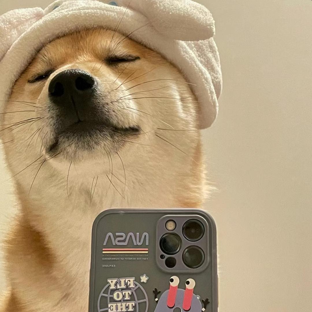 🌈是个大帅哥🌈