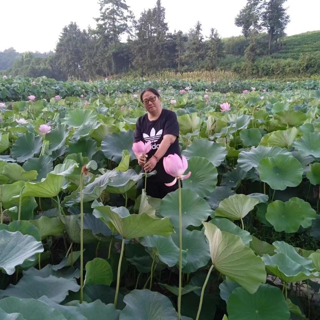 兰兰