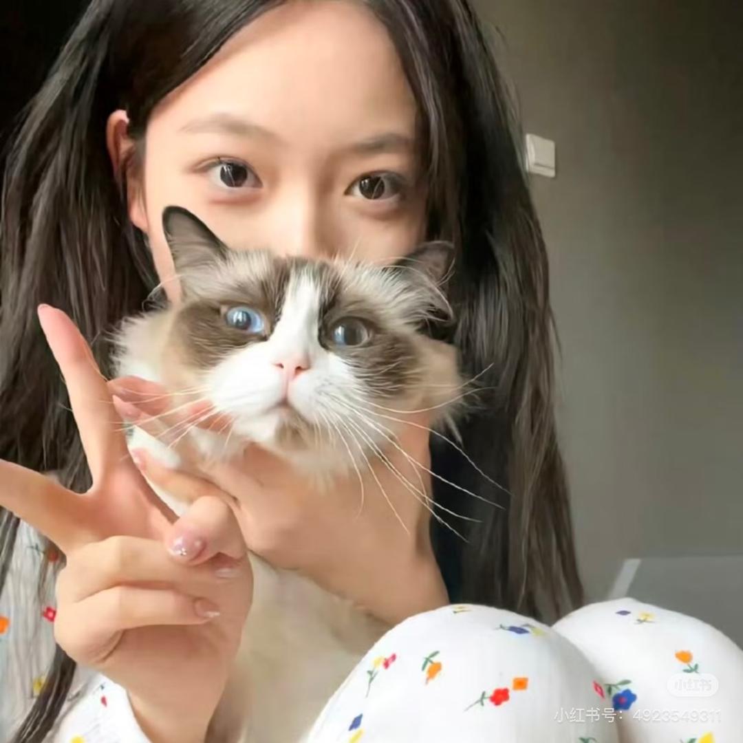 不吃葱.