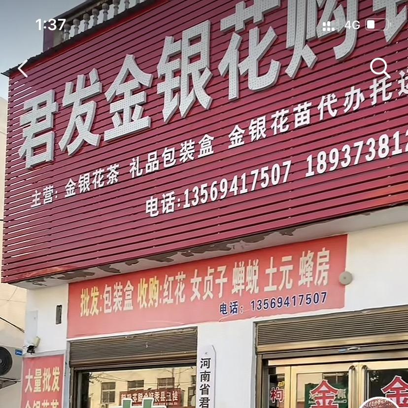 君发金银花茶特产店