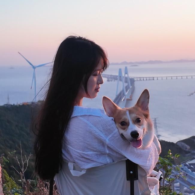 好运小狗🐶