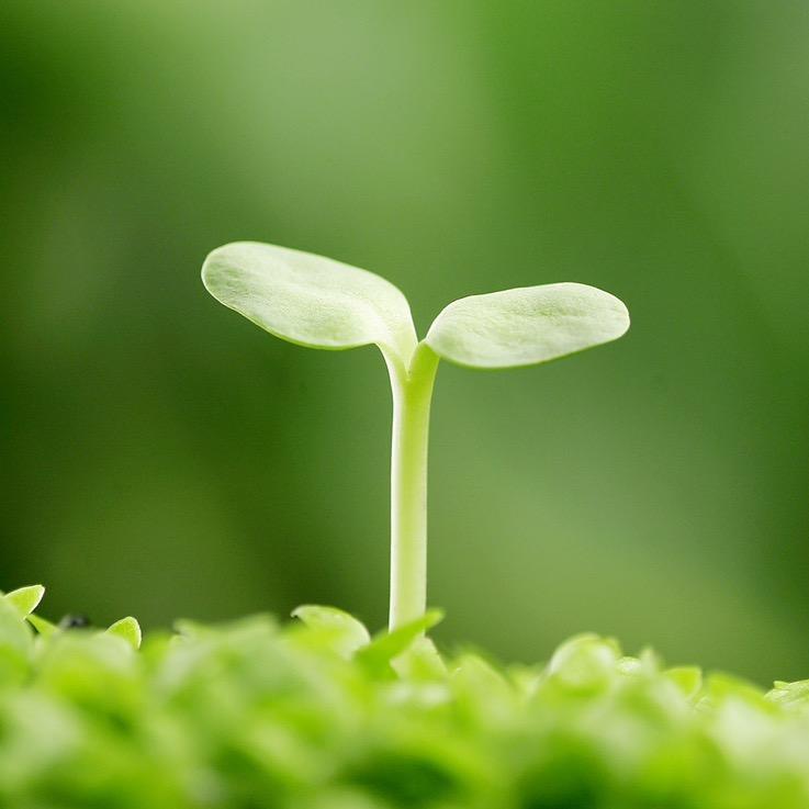 朴原良品清水居日用品专卖店