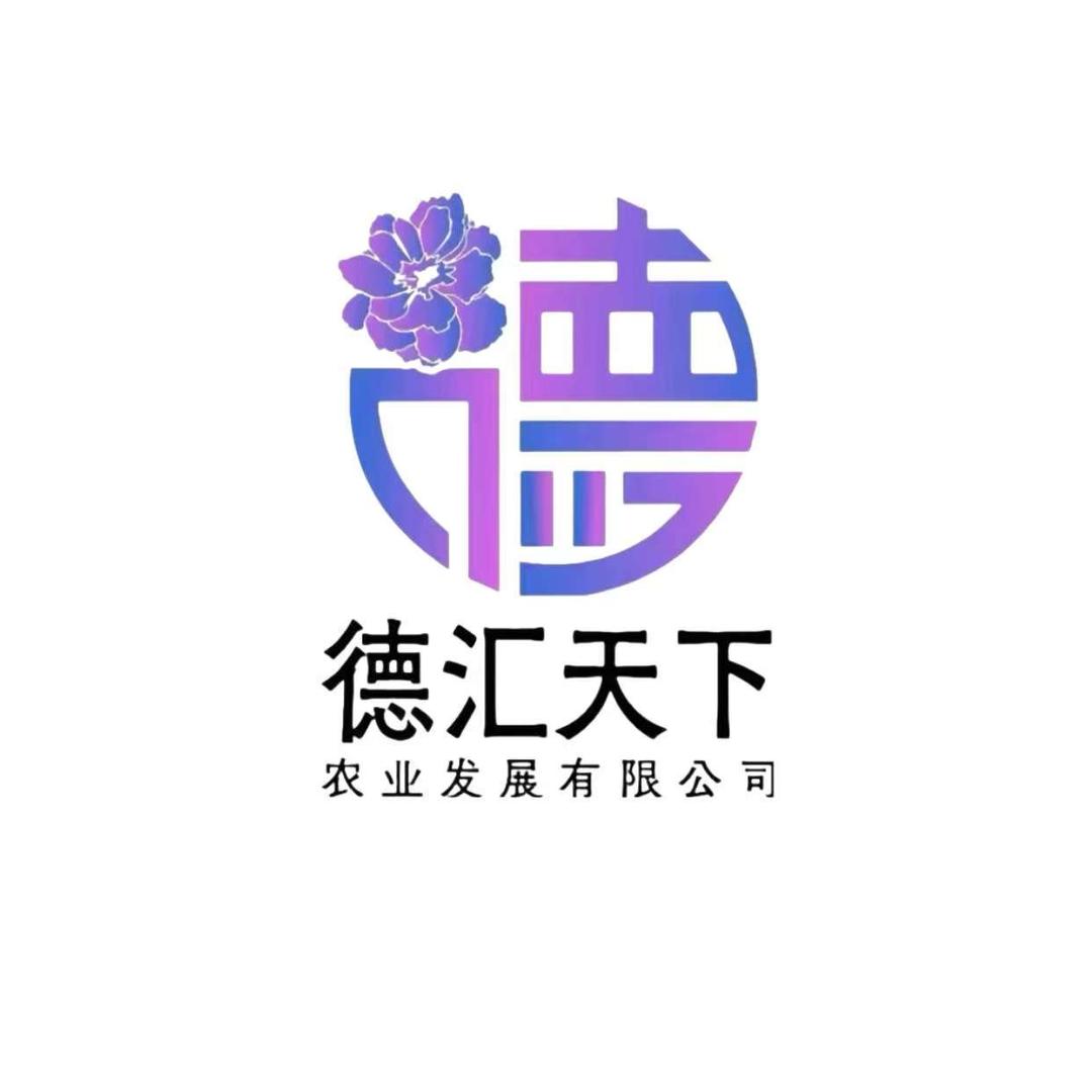 德汇天下～晶晶