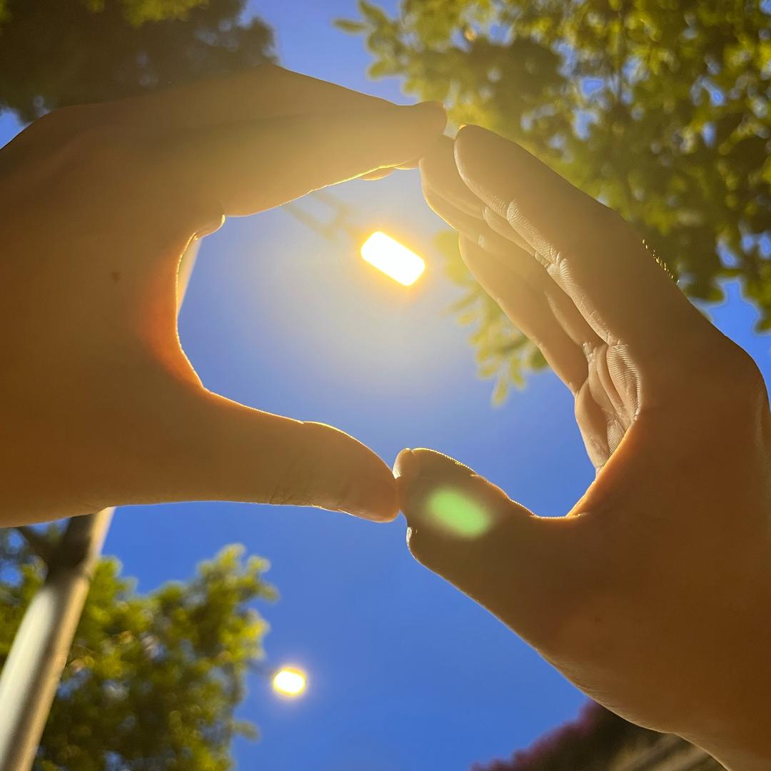 满山猴子我腚最红🐒