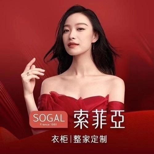 绥宁索菲亚衣柜整家定制龙姐