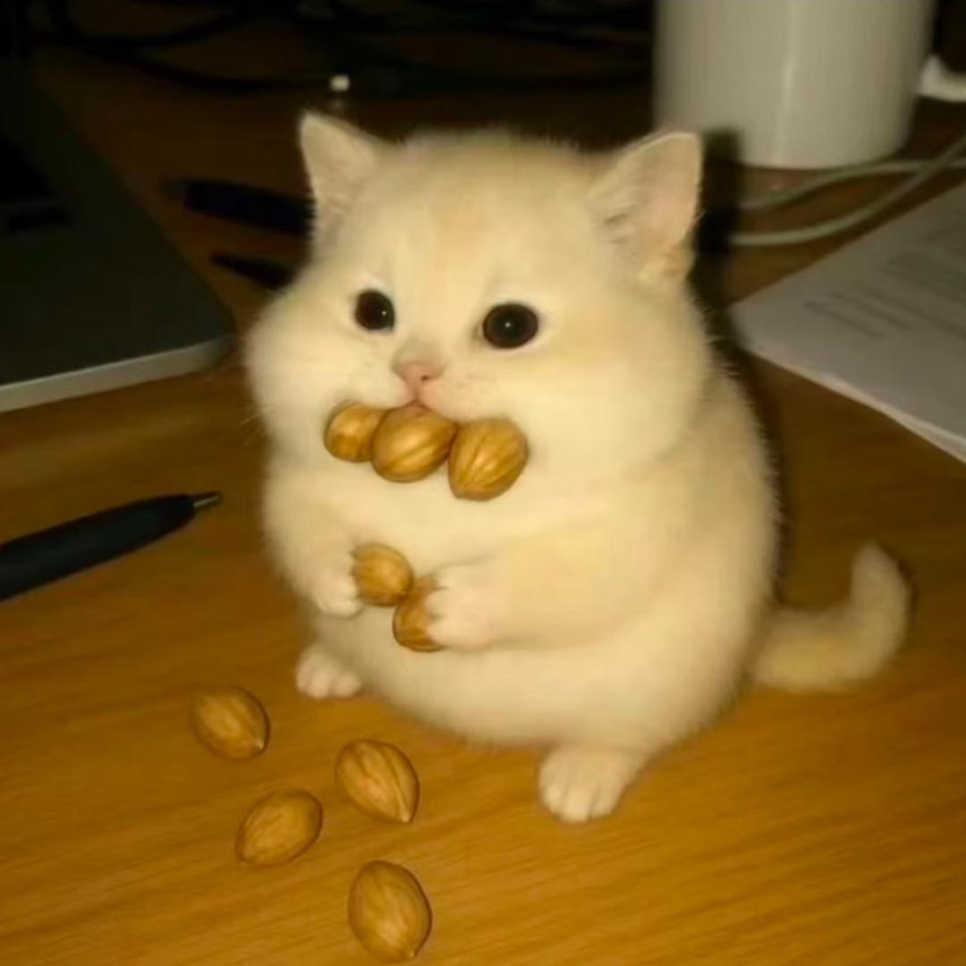 一袋牛乳
