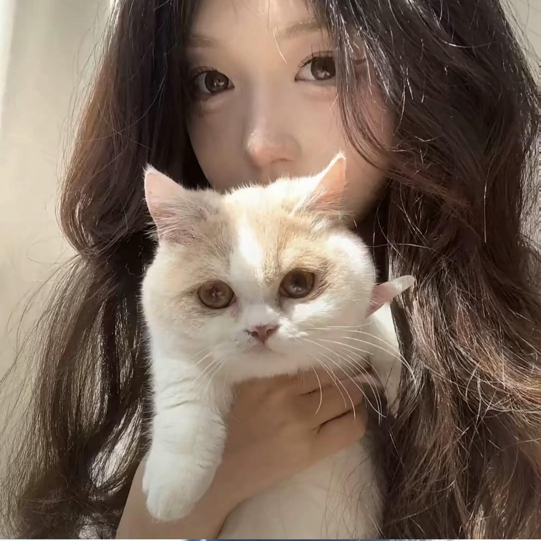 瑶似云间月