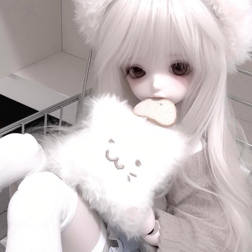 小猫愿