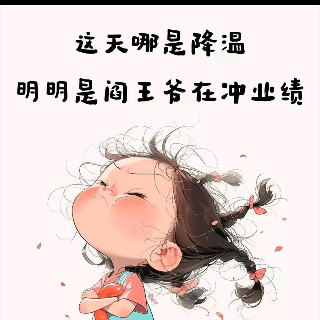 东北赵先生
