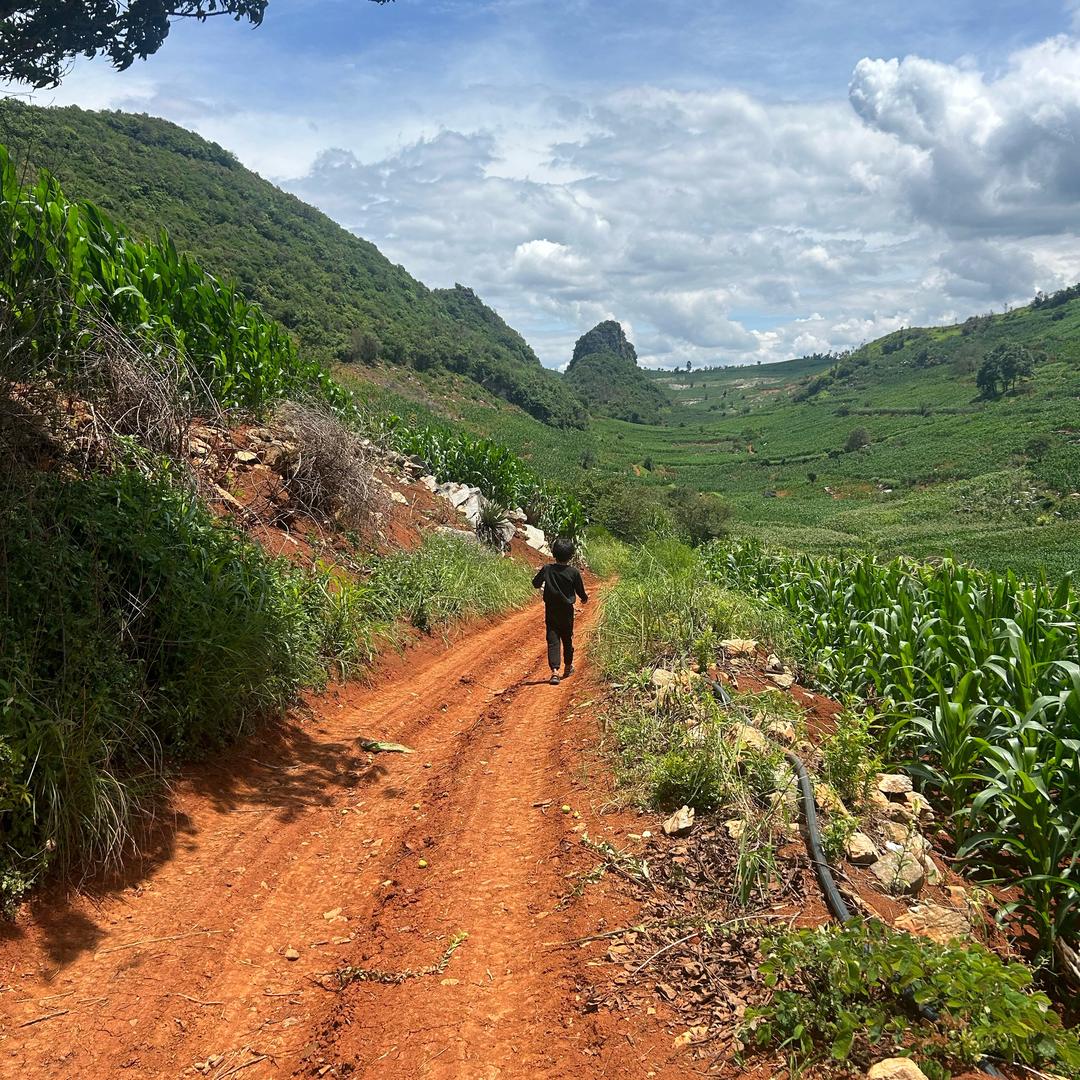 二宝思雨🌻🌻
