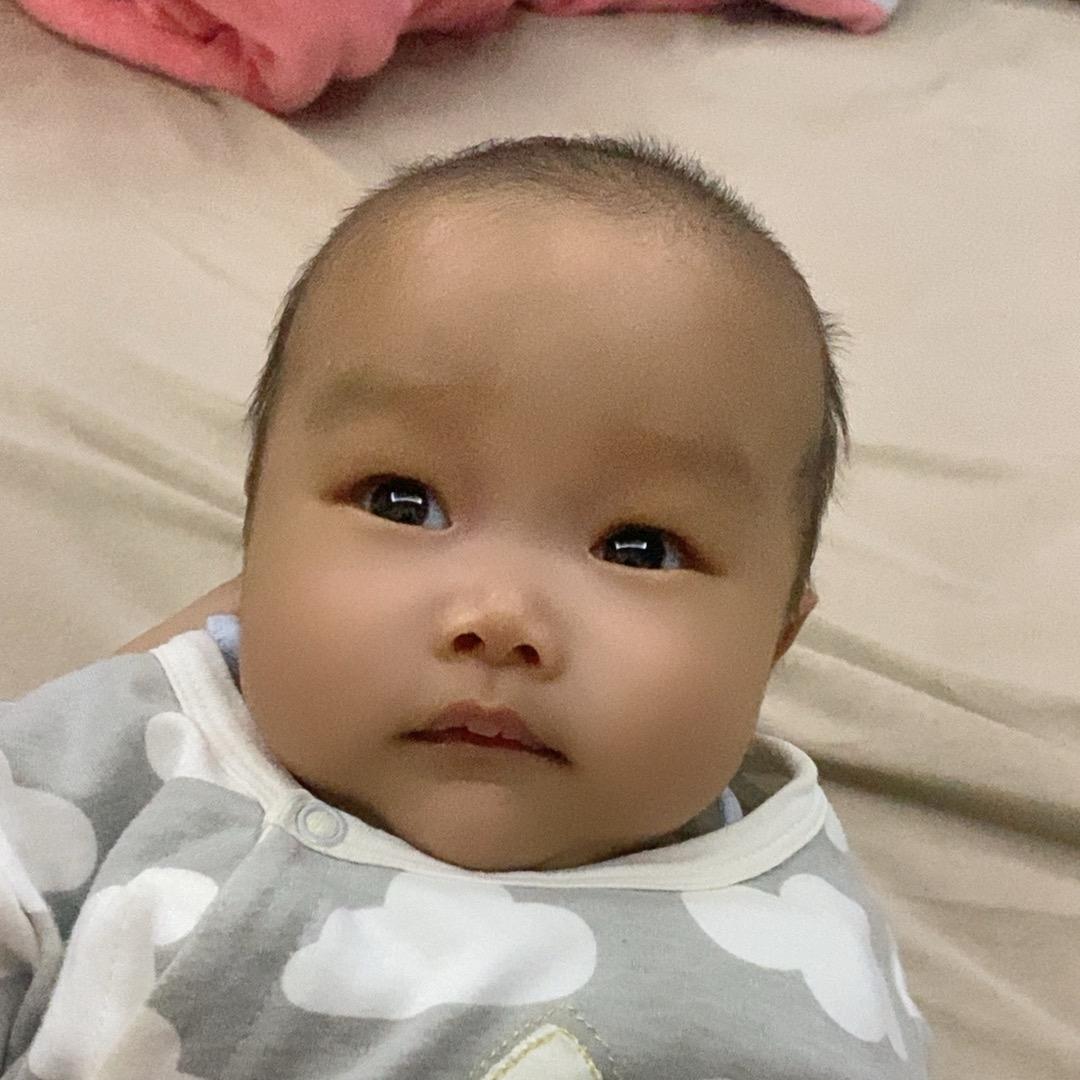 小元宝的成长日记