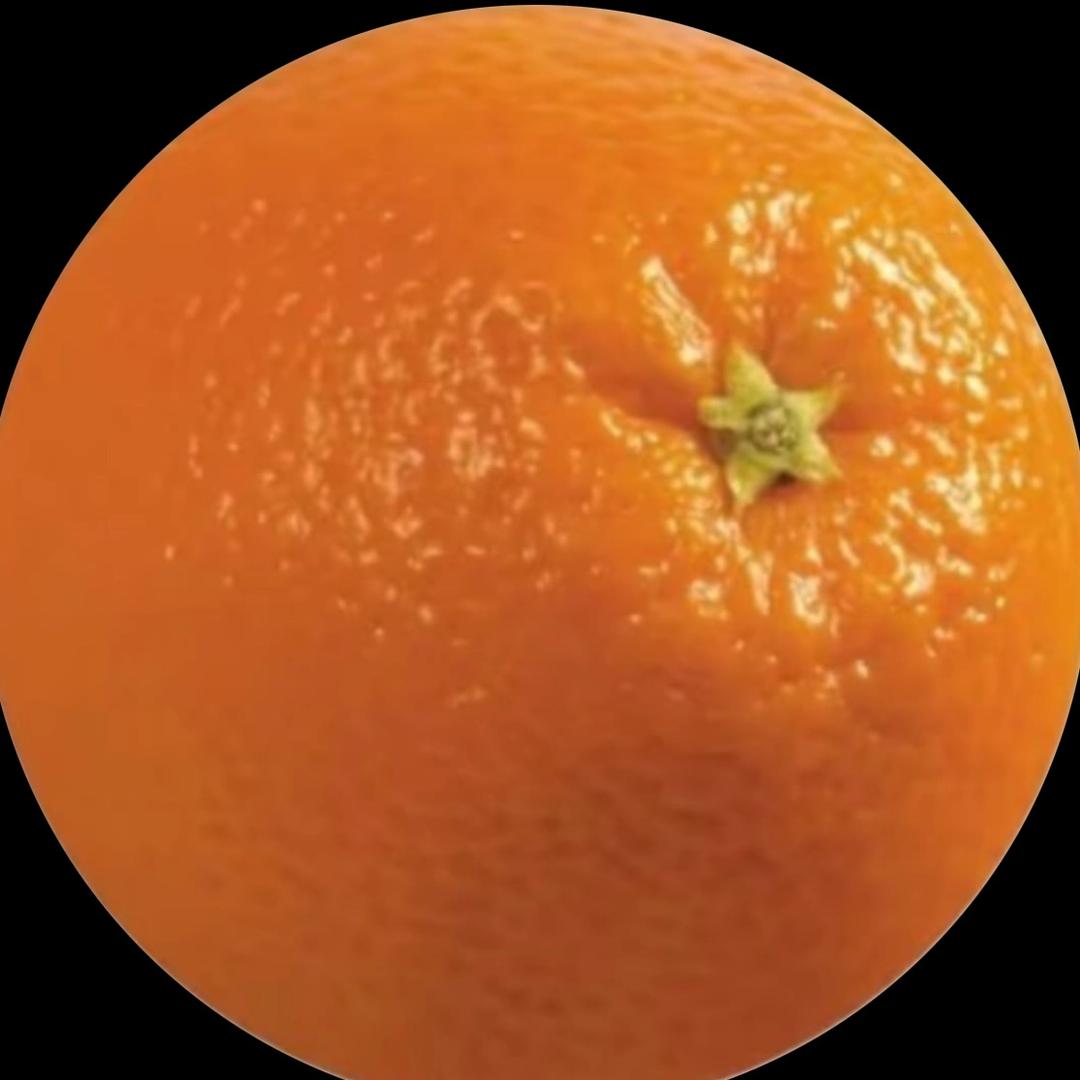 吃个橘子来画画