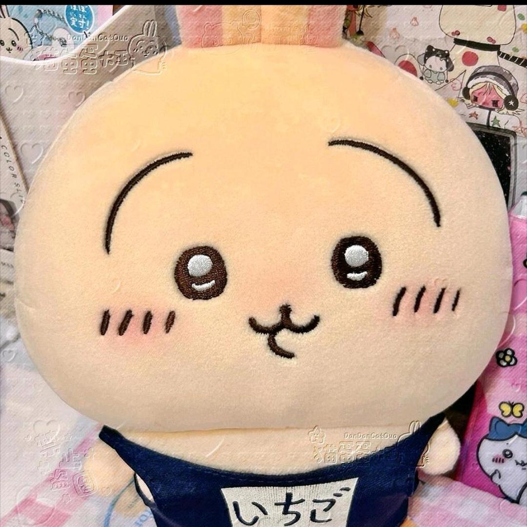 @喵喵大王