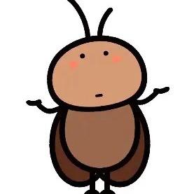 黄河路上的嫁衣