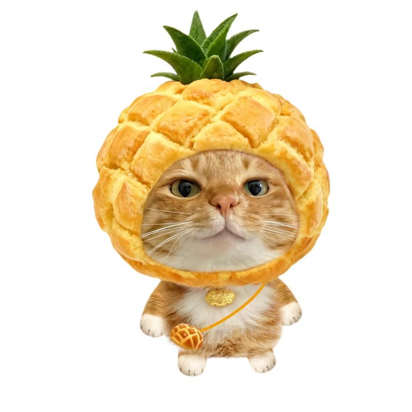 菠萝᳐