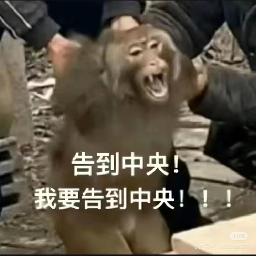 哇我可真惨