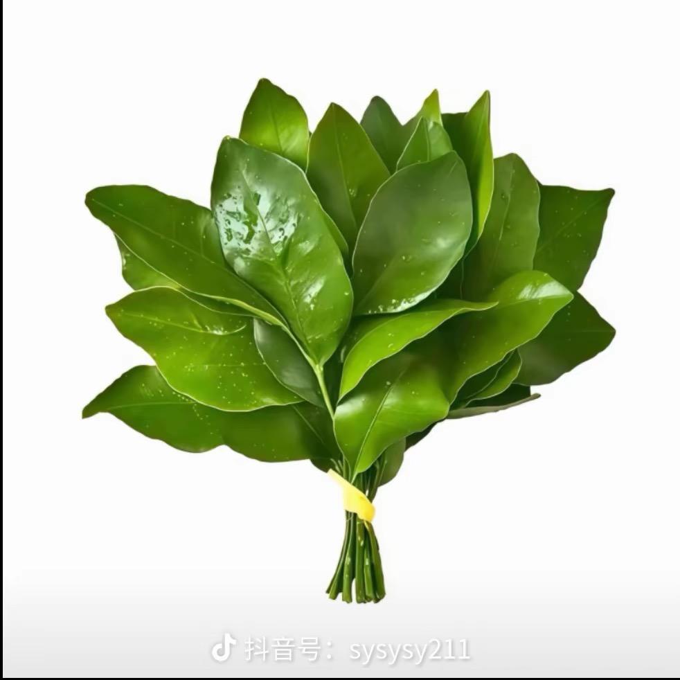 杨小姐的茶(鲜花)