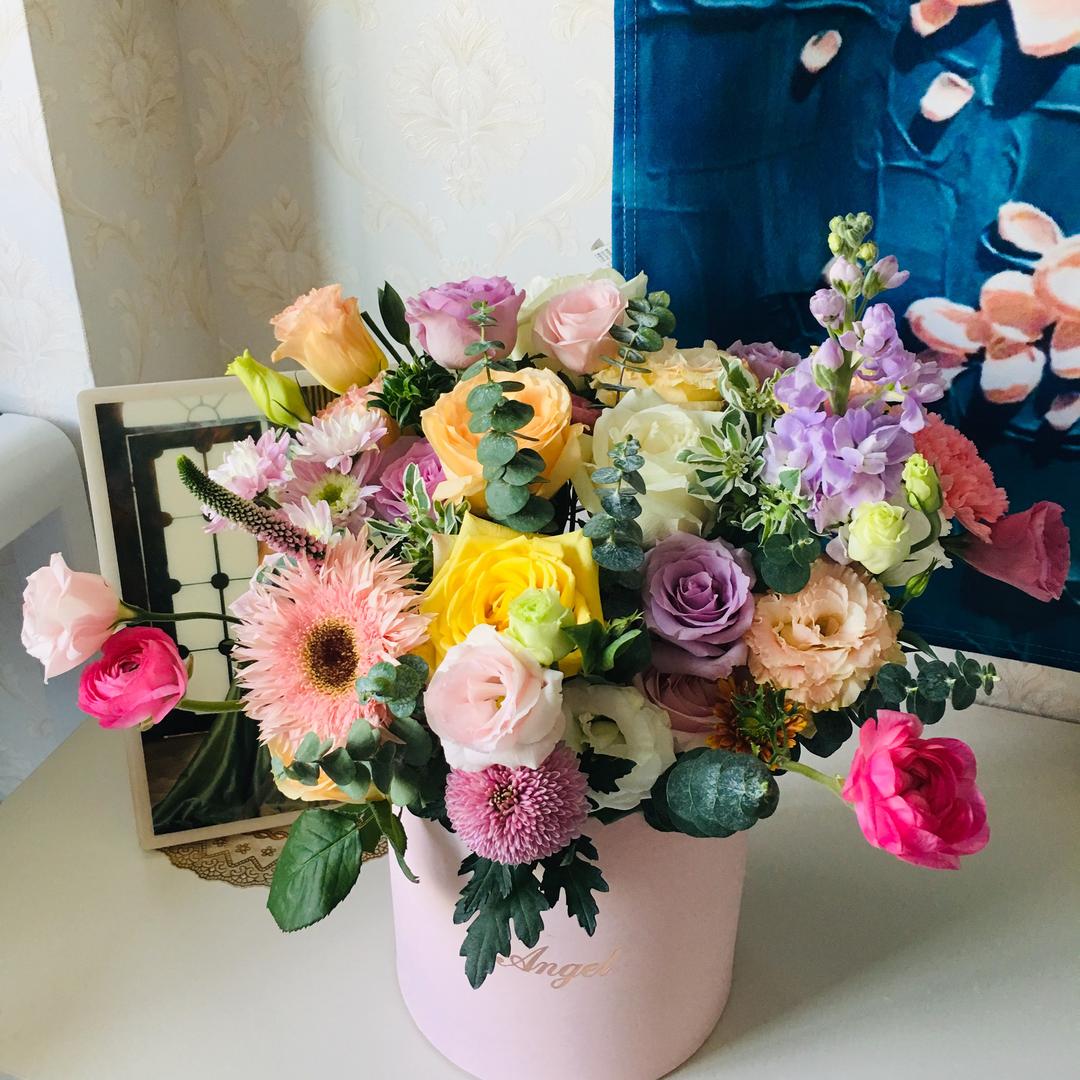 🌹花草木木🌹