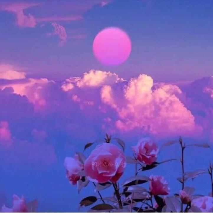 溜溜