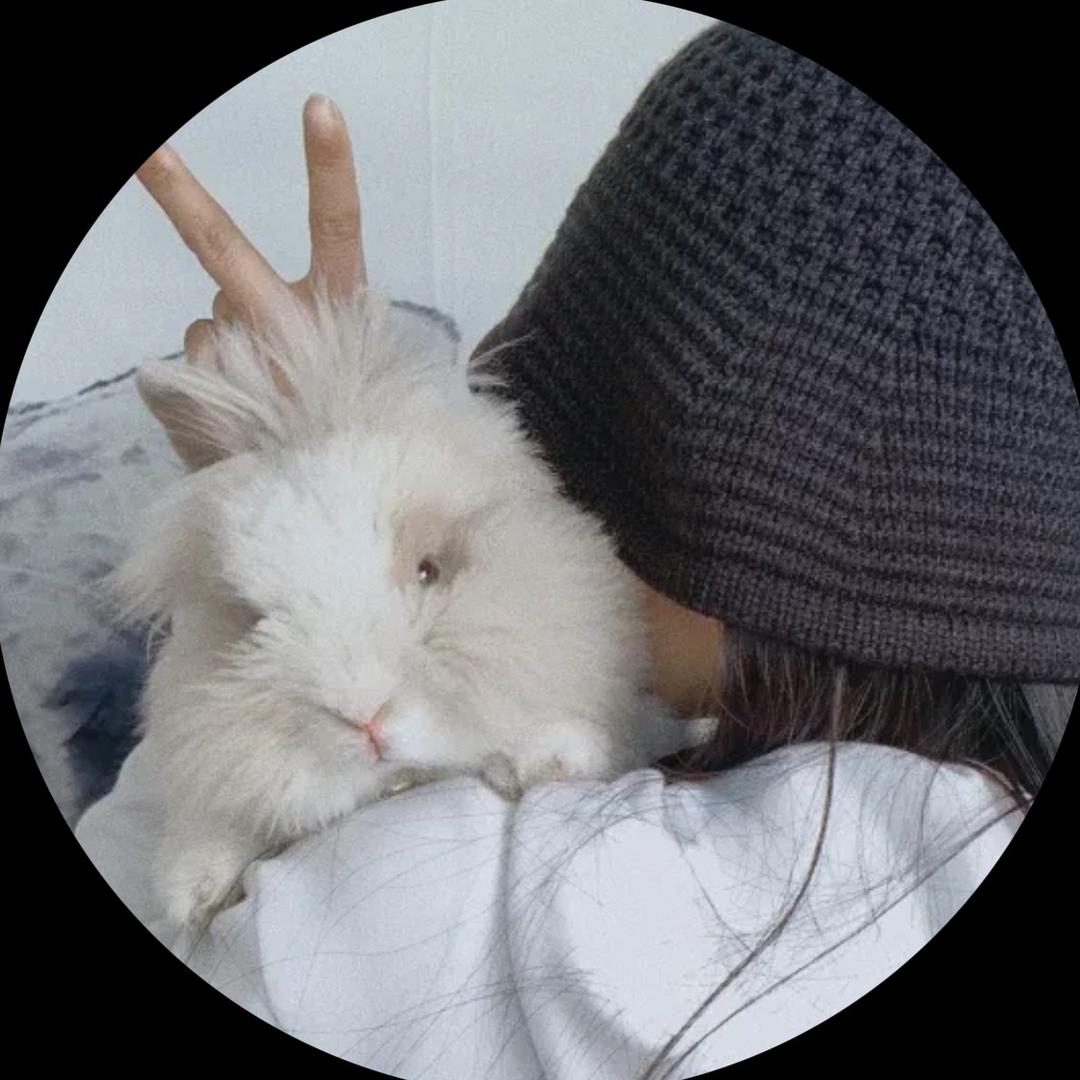 兔哥🐰